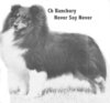 Banchory Never Say Never Banchory Never Say Never