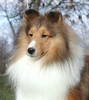 Kell The Right Stuff Kell The Right Stuff