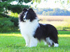 Belmark Empress Belmark Empress