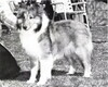 Benayr Susan's Girl