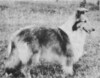 Allora Ellen Riddle