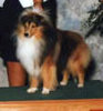 Mill Creek's Teddy Bear