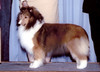 Laureate Catalina