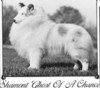 Shamont Ghost Of A Chance