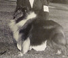 Bertlin Courtesy Call