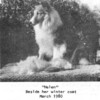 Grelore Helen Hiwater
