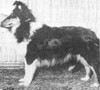 Roydon's Apparent Heiress