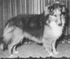 Crown Prince Of Windom
