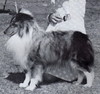 Maramet Silver Cloud