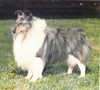 The Gray Ghost Of Carmylie