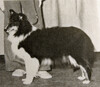 Hei-Star's Elite Promise
