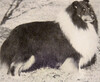 Chisterling Rockhill O'Ryan