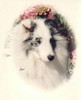 Trilight Strike A Clear Note