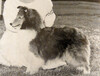 Alfenloch Loni Anderson