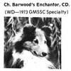 Barwood's Enchantor