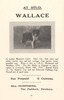 Owner's advertisement