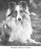 Orpheus Of Callart - Shetland Special Jul-Aug 1950