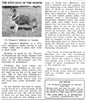 Frigate's Emblem Of Astolat - story - Shetland Special Mar-Apr 1950