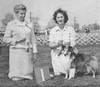 Astolat Gold Award - Sheltie Special Jan-Feb 1966