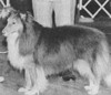 Thistlerose Design'd For Duty - Sheltie Special Jan-Feb 1970 Thistlerose Design'd For Duty - Sheltie Special Jan-Feb 1970