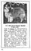 Nov-Dec correction to photo labels in Sep-Oct 1971 Sheltie Special