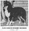 Clan Duncan Maramet Moonrise - Sheltie Special Mar-Apr 1972