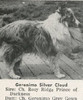 Am/Can Ch Geronimo Silver Cloud