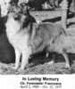 Forecaster Francesca - Sheltie Special Nov-Dec 1975