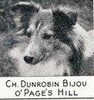 Dunrobin Bijou O'Page's Hill - DogNews Dec 1941