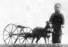Margurite Of Walnut Hall - Martha Nichols