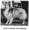 Scotchguard The Admiral - Sheltie Special May-Jun 1971