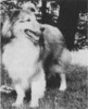 Bigwoods Favorite Son - Jul-Aug 1970