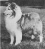 Lobo Dell's Charm Bracelet - Sheltie Special Mar-Apr 1975