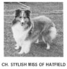 Stylish Miss Of Hatfield - Sheltie Special Sep-Oct 1968