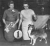 Lingard Naripa Rhapsody - Sheltie Special Mar 1963