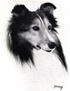 Lobo Dell's Han'Som Cat